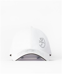 Peメッシュ使いCAP